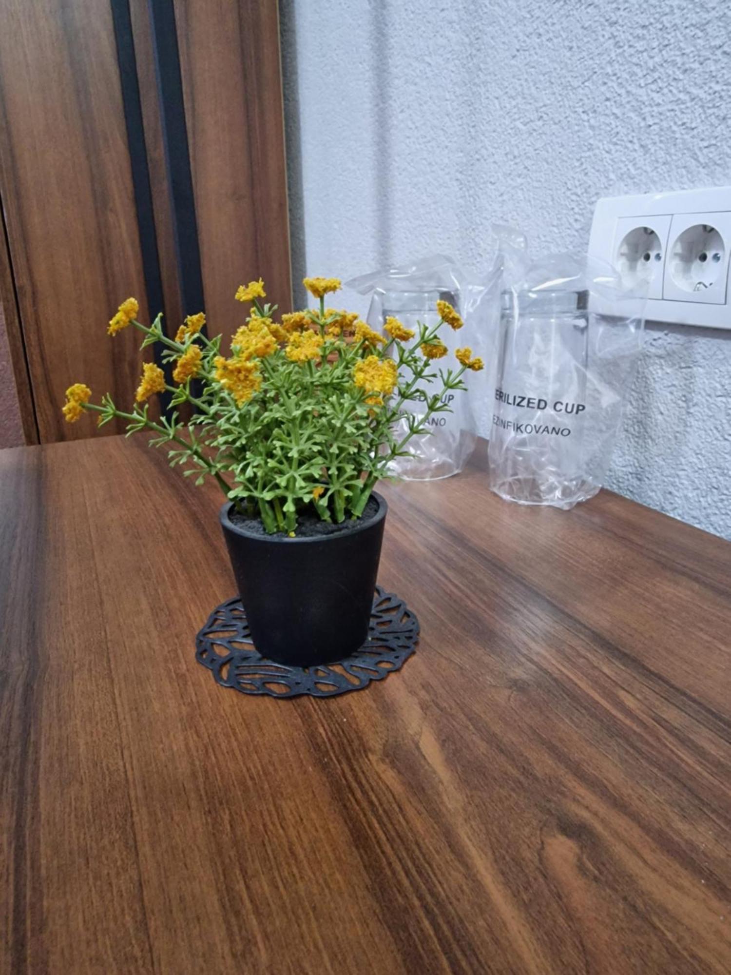 Hotel Djerdan Kraljevo Esterno foto